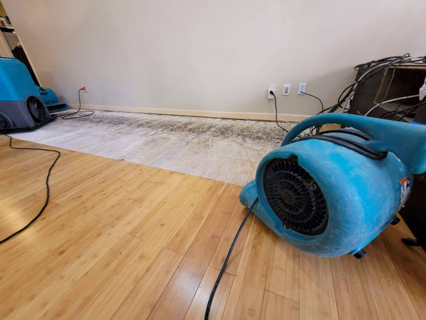 Professional Water Removal technician working in Elmaton, TX